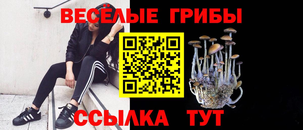 Псилоцибиновые грибы ЛСД Мурино