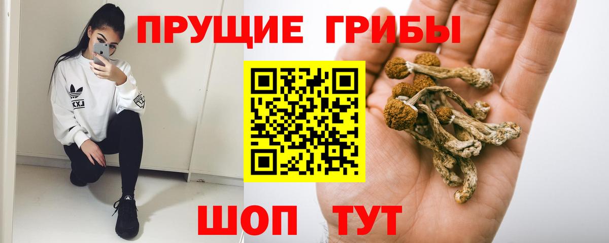 Мурино  Псилоцибиновые грибы ЛСД  Галлюциногенные грибы ЛСД  Вход с VPN 